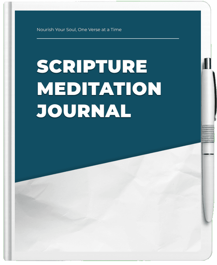 Book mockup preview showing cover design